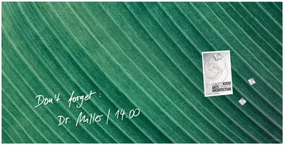 sigel Tableau magnétique en verre Artverum Design Palm Leaf