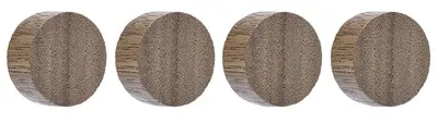 magnetoplan Aimant néodyme Circle Wood Series, noyer