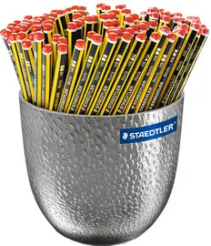 STAEDTLER Crayon Noris, hexagonal, pot de fleurs de 144
