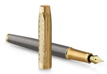 PARKER Stylo plume IM PREMIUM Arrow Grey GT, plume F