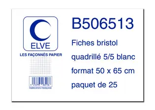 ELVE Fiches bristol quadrillées 5/5, 500 x 650 mm, 25 fiches