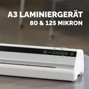 Miniature 4
