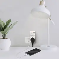 Miniature 3