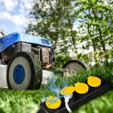 Miniature 2