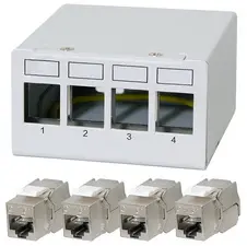 LogiLink Panneau de brassage cat.6A, 4 ports, gris clair
