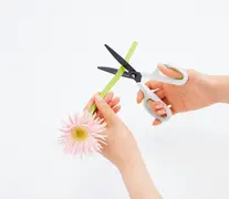 Miniature 4