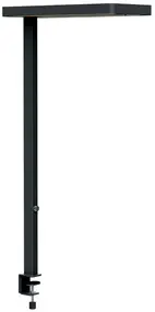 MAUL Lampadaire de bureau à LED MAULjuvis sensor, pince