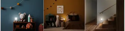 Miniature 2