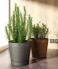Miniature 8
