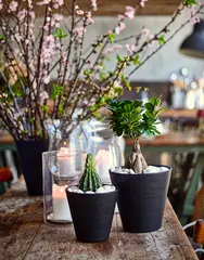 Miniature 6