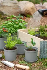 Miniature 5
