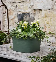 tera Bac à plantes "Rodi", largeur: 370 mm, fog grey