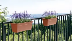 tera Kit de jardinière "Birka", support inclus, rouge foncé