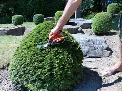 Miniature 3