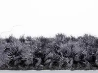 Miniature 9