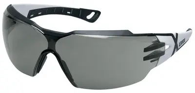 uvex Lunettes de protection pheos cx2, verres: gris