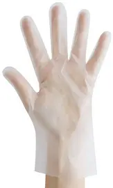 HYGOSTAR Gant TPE ALLFOOD THERMOSOFT, XL, transparent