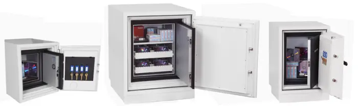 phoenix Coffre-fort pour données DATACARE DS2001F