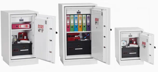 phoenix Coffre-fort pour données DATACOMBI DS2501F