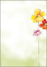 Miniature 3