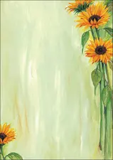 sigel Papier à motif, A4, 90 g/m2, motif "Sunflower