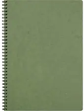 Clairefontaine Carnet à spirale NOMADDICT, A4, vert