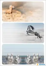 HERMA Étiquette pour livre VARIO "Chevaux