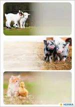 Miniature 1