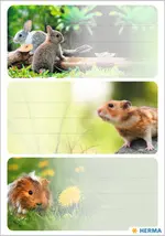 Miniature 4