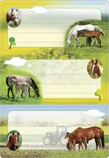 HERMA Étiquette pour livre "Chevaux", 76 x 35 mm