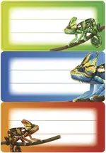 HERMA Étiquettes pour livres VARIO "Caméléons", 76 x 35 mm