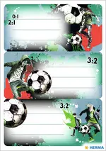 HERMA Étiquettes VARIO "Street Soccer", 76 x 35 mm