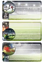 HERMA Étiquettes pour livres "Football", pailleté