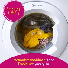 Miniature 5