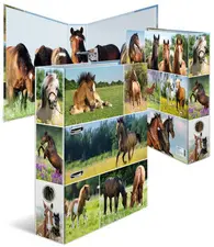 Miniature 3