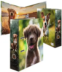 HERMA Classeur à motif "Animaux préférés" Chien, A4