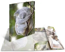 HERMA Chemise à élastiques "koala", PP Glossy, A4