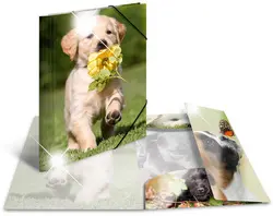HERMA Chemise à élastiques "chiens", PP Glossy, A4