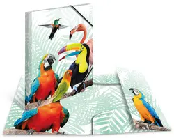 HERMA Chemise à élastiques Animaux exotiques, A4, oiseaux