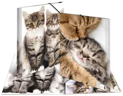 HERMA chemise élastique "chats", transparent, en PP, A4,
