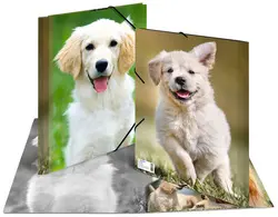 HERMA Chemise élastique "chiens", transparent, en PP, A4,