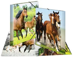 HERMA Chemise élastique "chevaux", transparent, en PP, A4