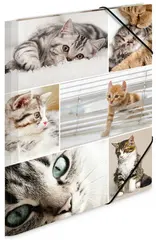 HERMA Chemise à élastiques "chats", en carton,