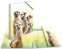 HERMA Chemise à élastiques Animaux exotiques, A3, suricates