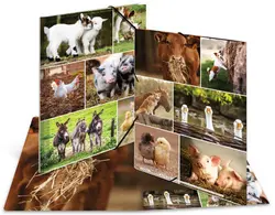 Miniature 1
