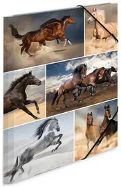 Miniature 3