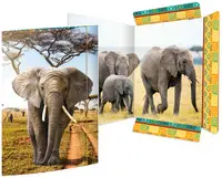 Miniature 6