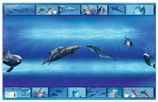 HERMA Sous-main "Dauphins", (L)550 x (H)350 mm