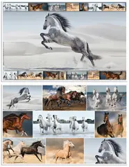 HERMA Sous-main "Chevaux", (L)550 x (H)350 mm