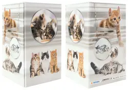 HERMA Pot à crayons "Chats", carton